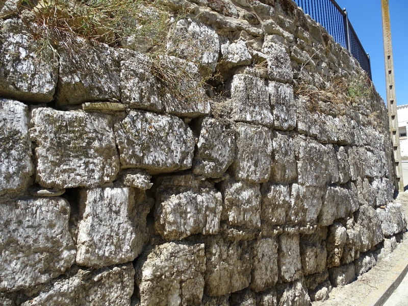 Muralla urbana de Alcalá de Gurrea