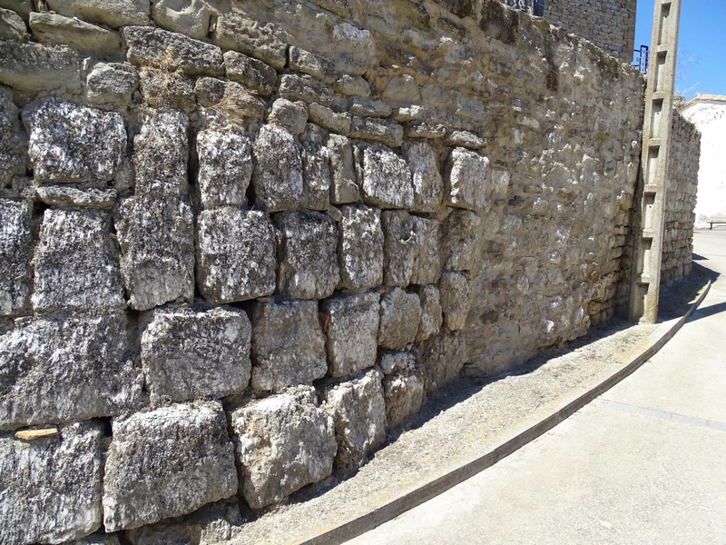 Muralla urbana de Alcalá de Gurrea