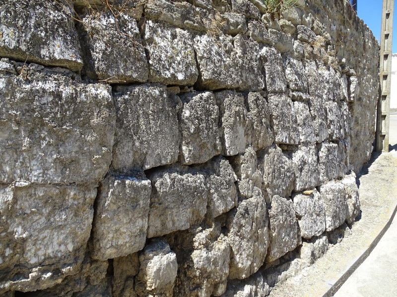 Muralla urbana de Alcalá de Gurrea