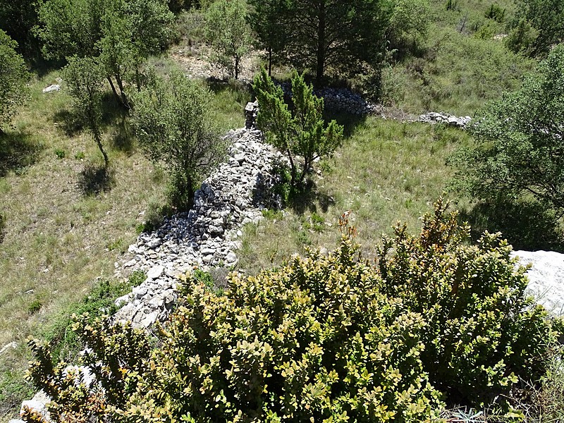 Castillo de la Zaba