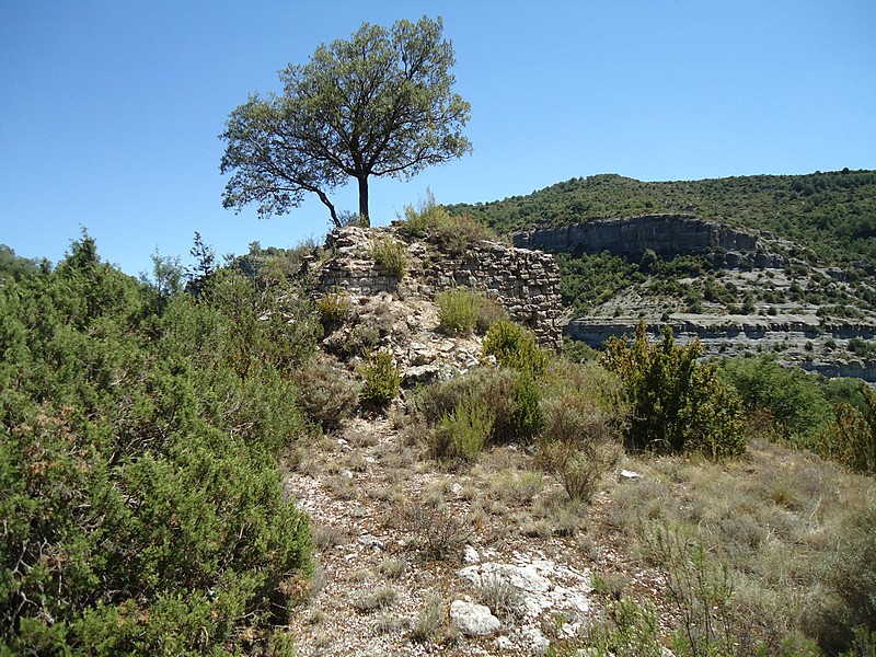 Castillo de la Zaba