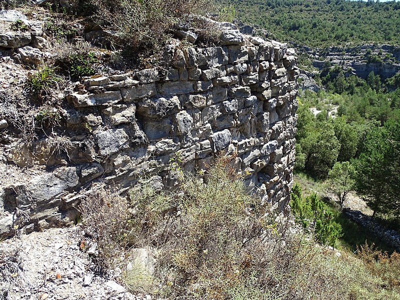 Castillo de la Zaba