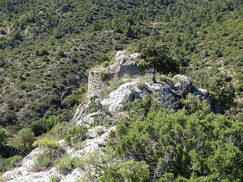 Castillo de Zurita