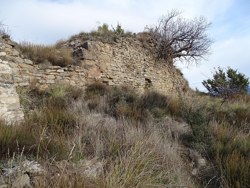 Castillo de Olsón