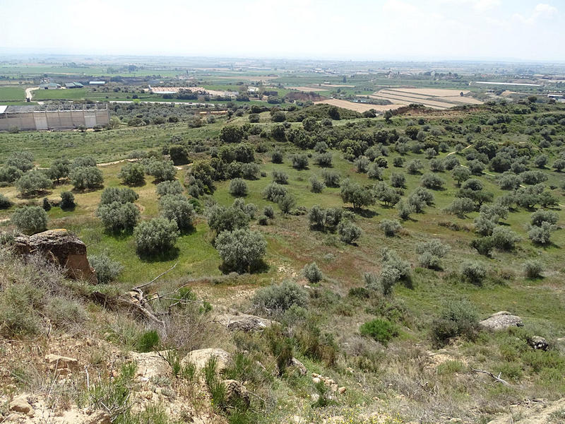 Fortaleza andalusí de Els Castellassos