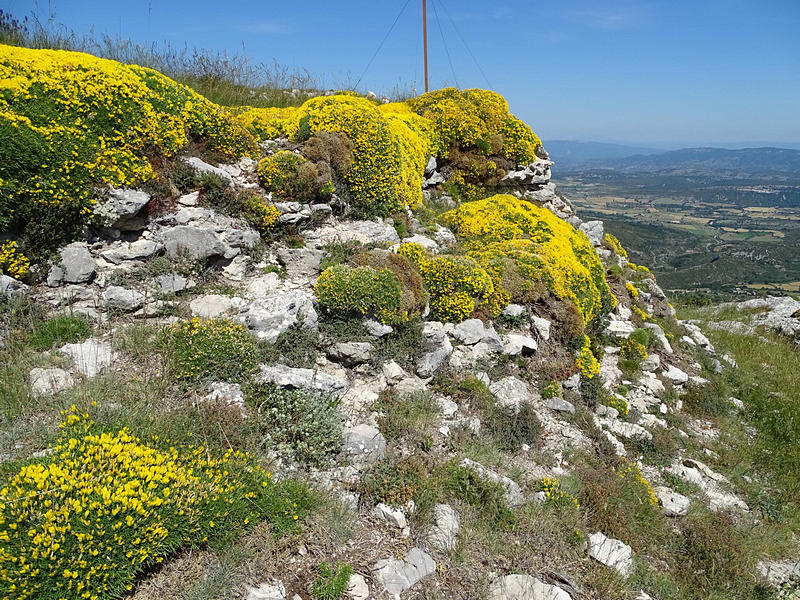 Castillo de Surta