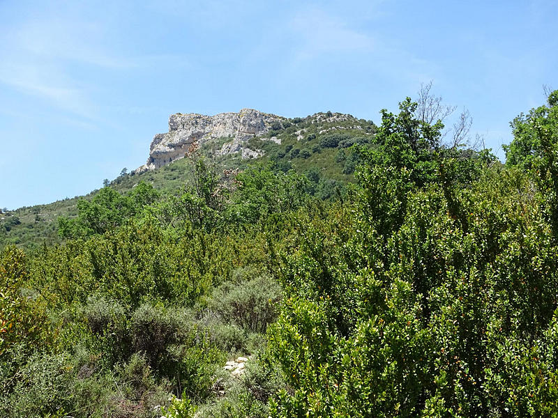 Castillo de Surta