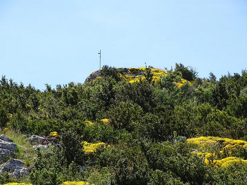 Castillo de Surta