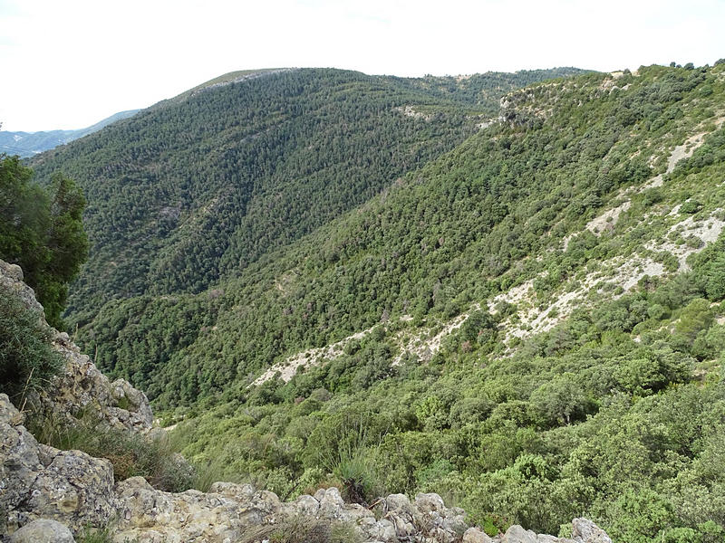 Castillo de Morcat