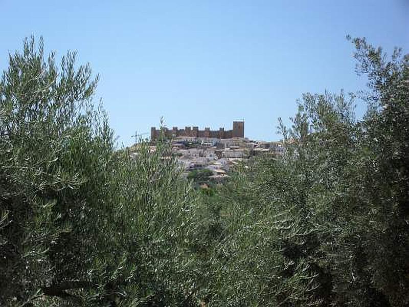 Castillo de Burgalimar