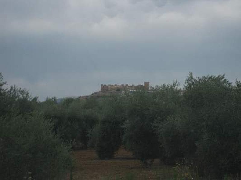 Castillo de Burgalimar