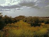 Castillo de Burgalimar