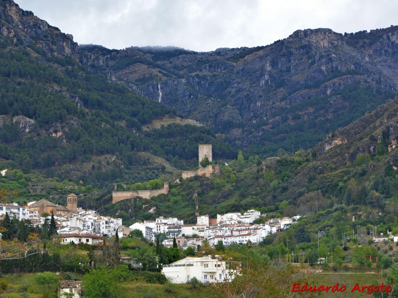 Castillo de la Yedra