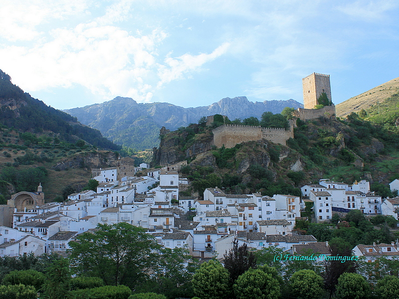 Castillo de la Yedra