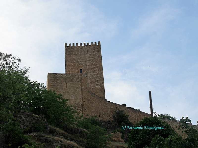 Castillo de la Yedra