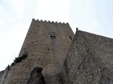 Castillo de la Yedra