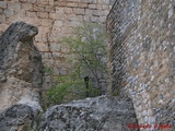 Castillo de la Yedra