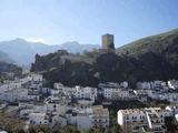 Castillo de la Yedra