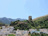 Castillo de la Yedra