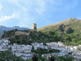 Castillo de la Yedra