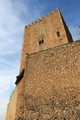 Castillo de la Yedra