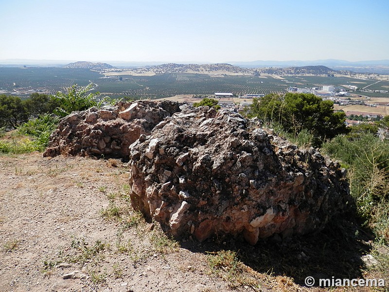 Castillo del Cerro de la Virgen