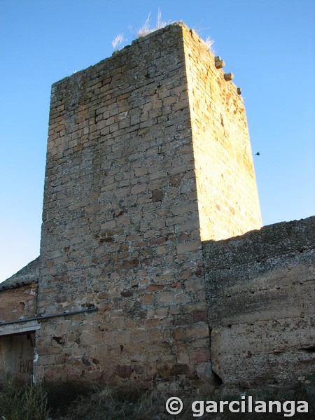 Castillo de La Aragonesa
