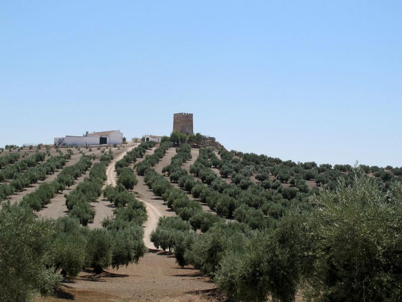 Torre de Fuencubierta