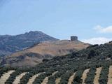 Castillo de las Cinco Esquinas