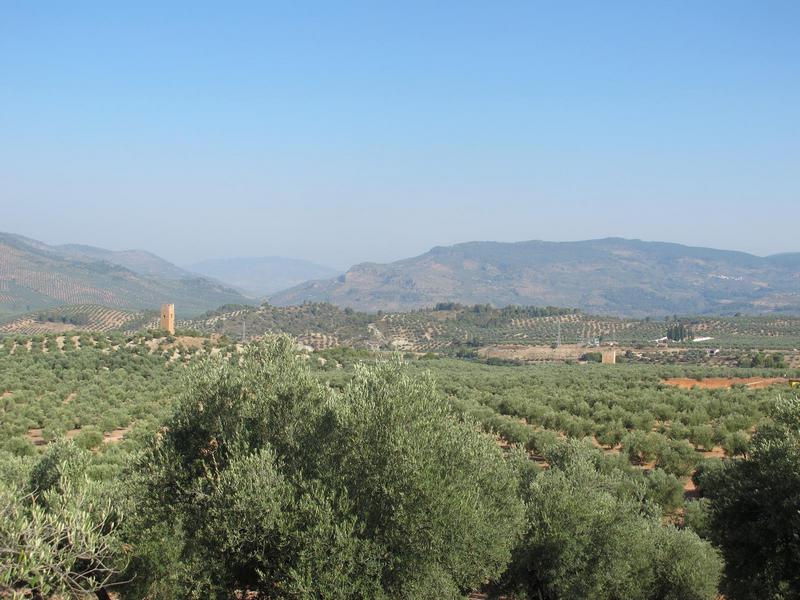 Torre de Santa Catalina II