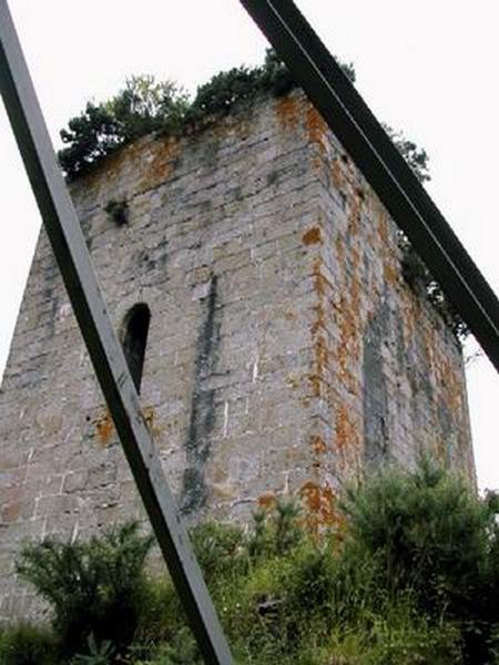 Castillo de Narahío