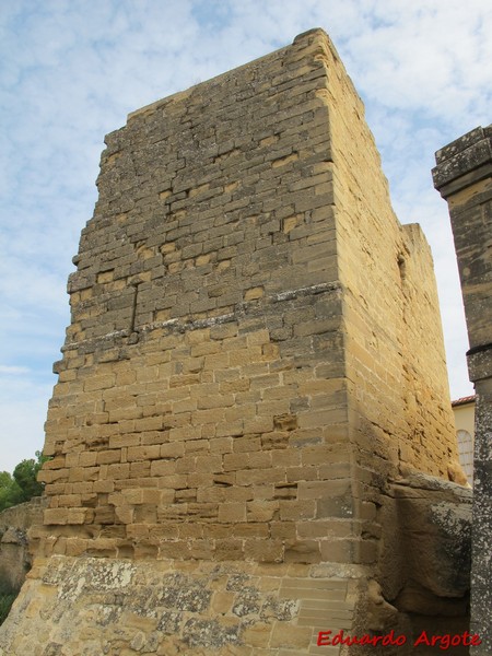 Castillo de Briones