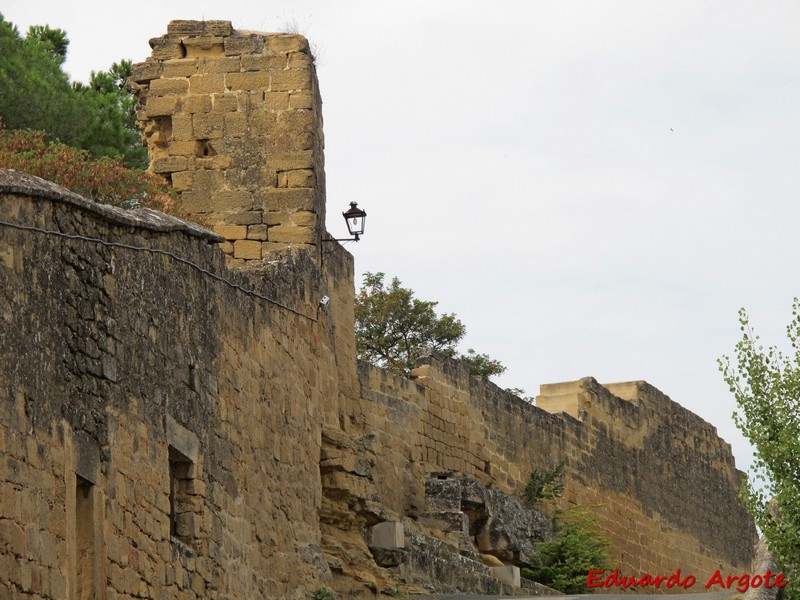 Castillo de Briones