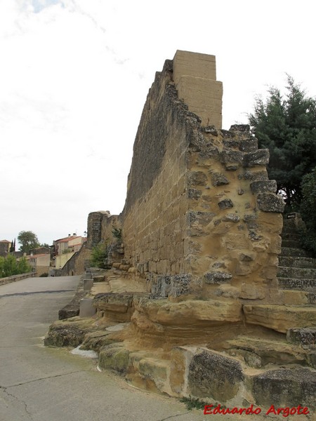 Castillo de Briones