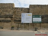 Muralla urbana de Briones