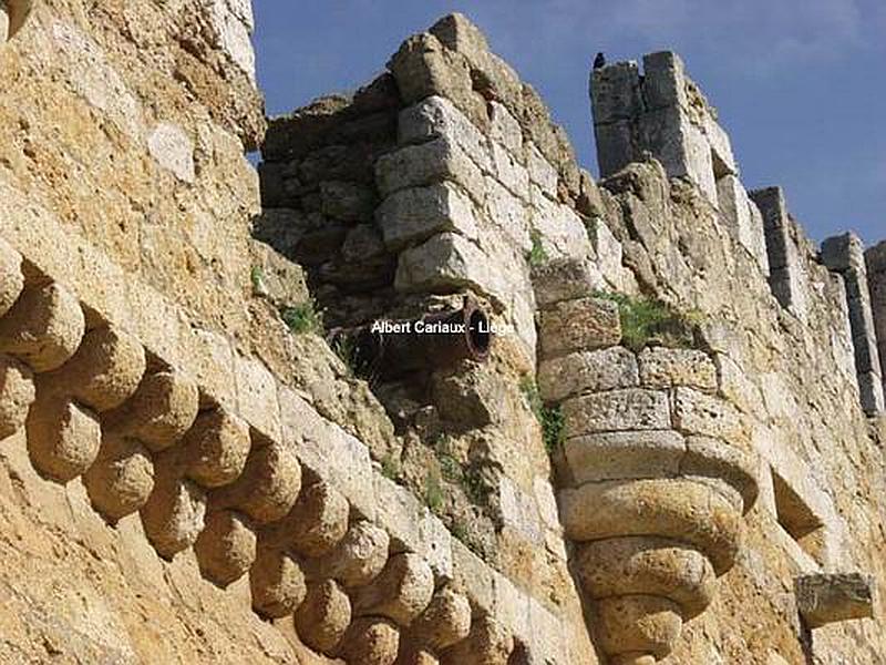 Castillo de Grajal de Campos