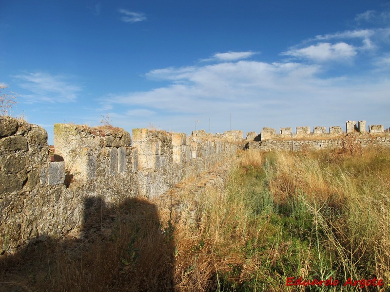 Castillo de Grajal de Campos