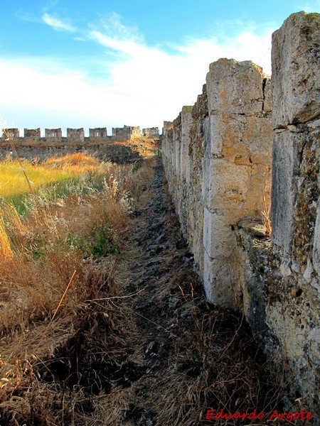 Castillo de Grajal de Campos