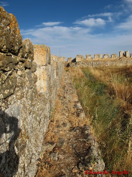 Castillo de Grajal de Campos