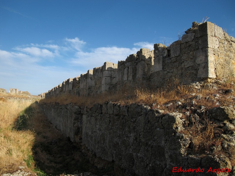 Castillo de Grajal de Campos