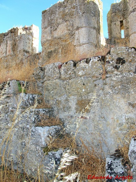 Castillo de Grajal de Campos