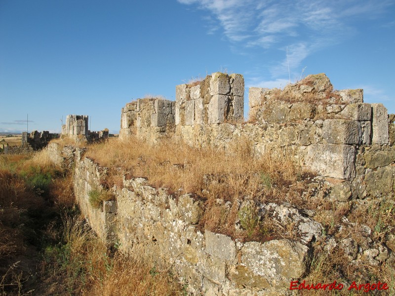 Castillo de Grajal de Campos