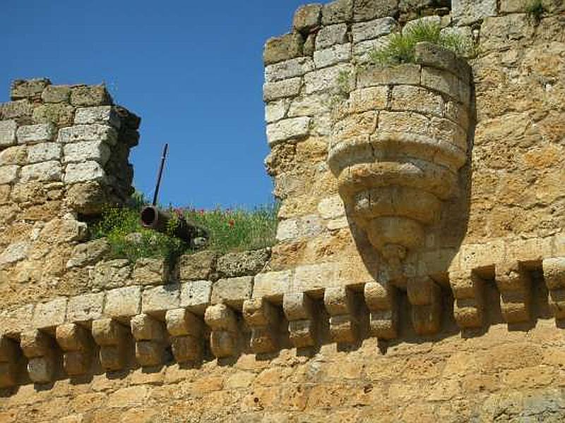 Castillo de Grajal de Campos