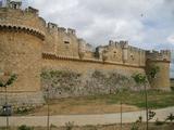 Castillo de Grajal de Campos