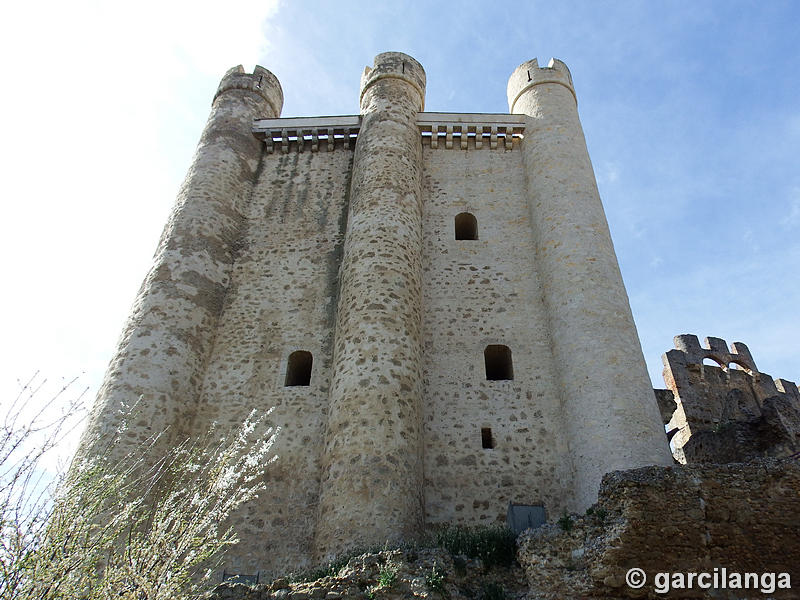 Castillo de Coyanza