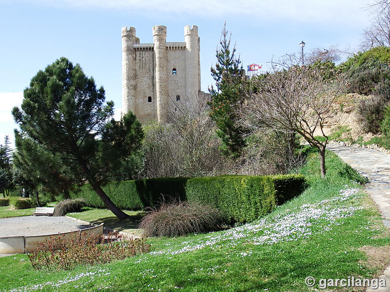 Castillo de Coyanza