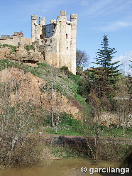 Castillo de Coyanza