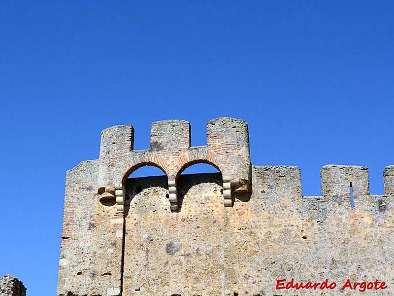 Castillo de Coyanza