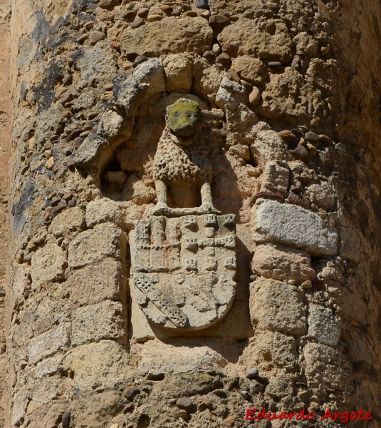 Castillo de Coyanza