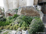 Castillo de Coyanza